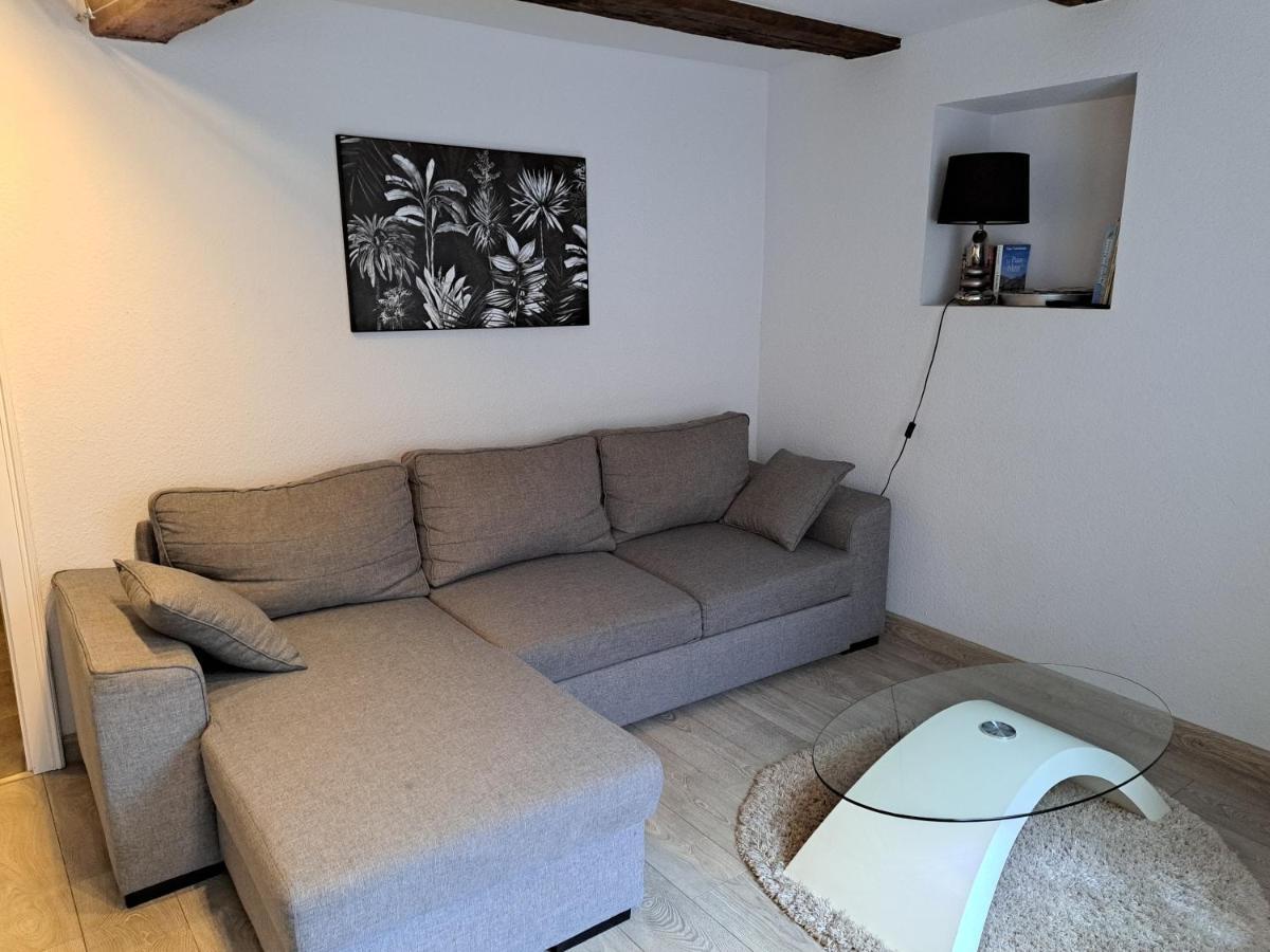 Les Colombages Apartment Colmar Exterior photo